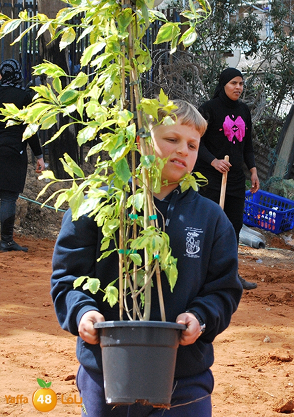 a3malteybeortlud (48).jpg